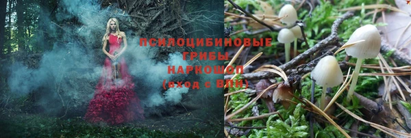 стафф Армянск