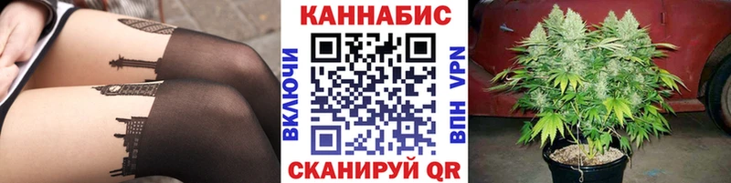 Каннабис OG Kush  Снежинск 